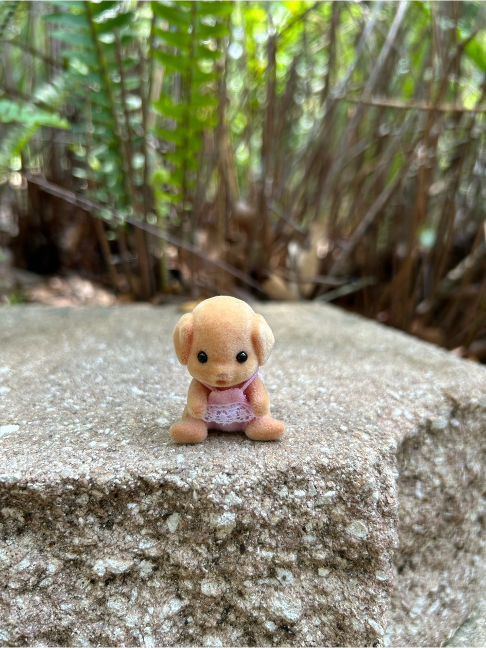 Calico Critters Mia the Toy Poodle ~